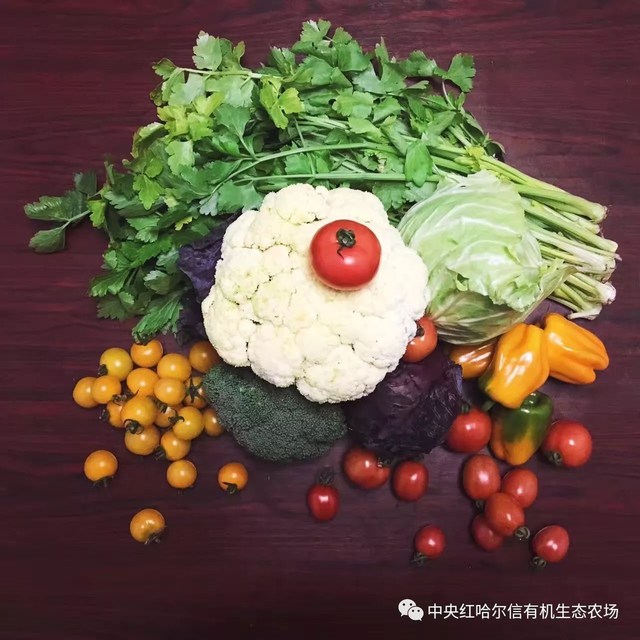 First image